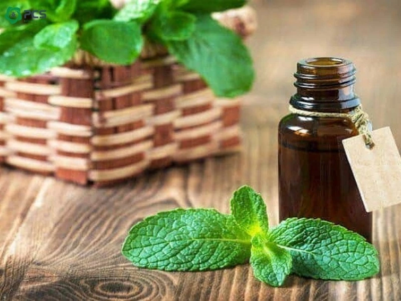 Mẹo đuổi gián 
